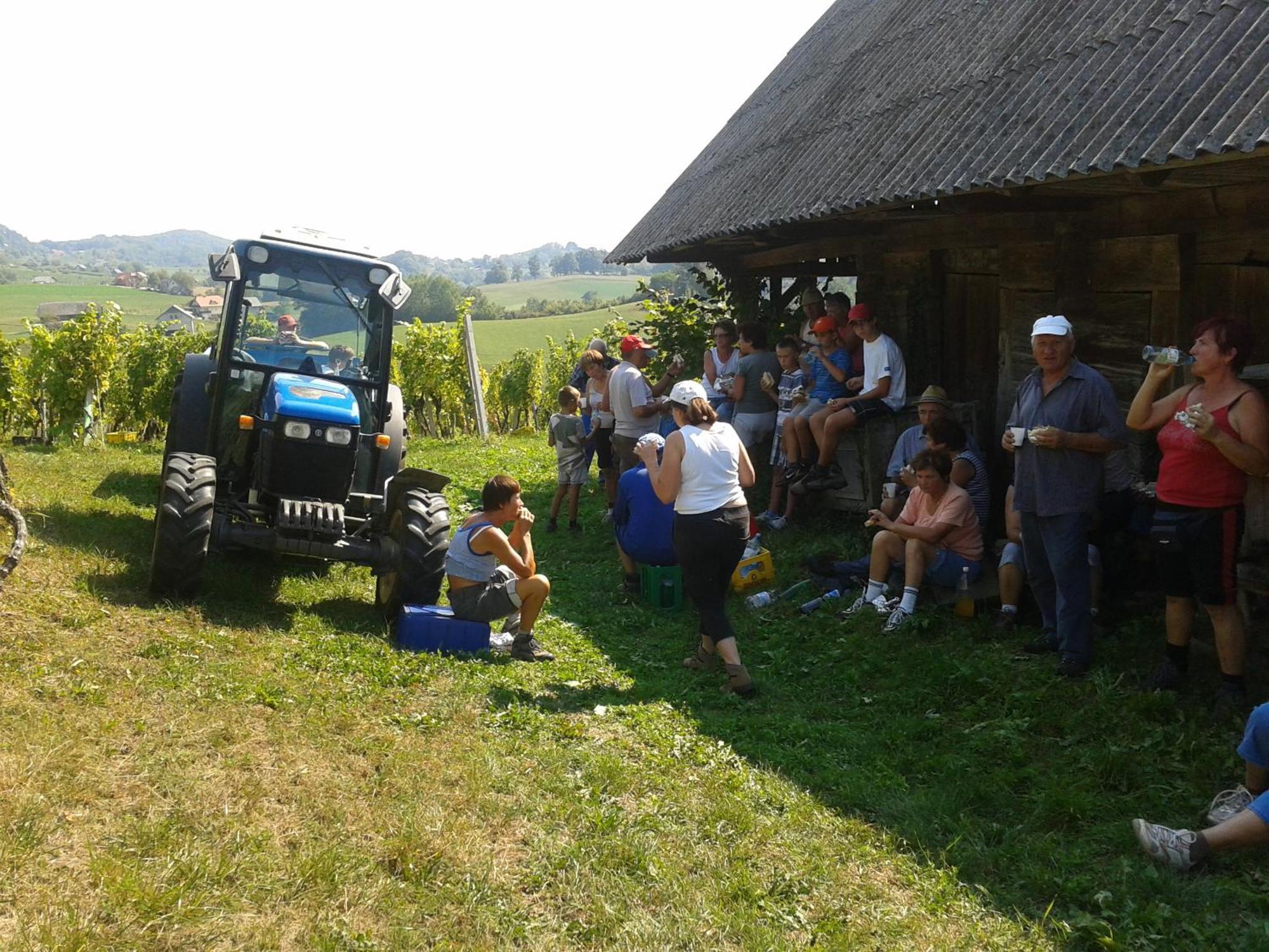 فيلا Grobelnik Tourist Farm Sevnica المظهر الخارجي الصورة